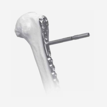 H1 for Product Detail Page